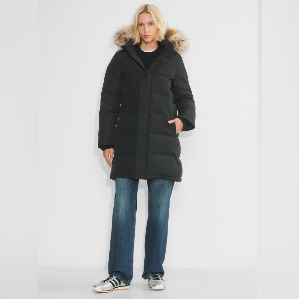 Aritzia Powder Parka